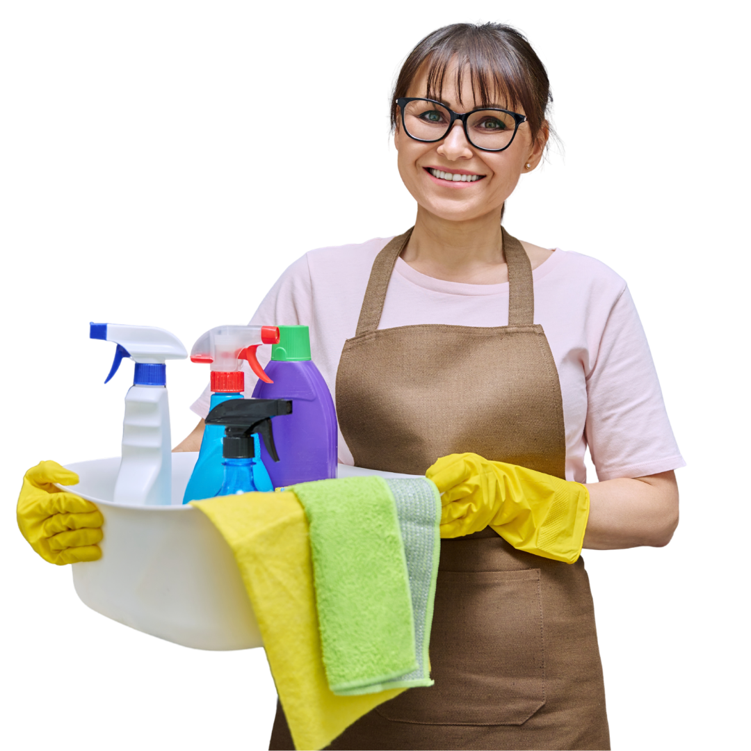 limpieadora cleandey